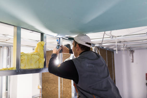 Best Insulation Replacement Services  in Buford, GA