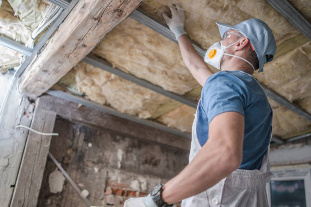 Best Attic Insulation Installation  in Buford, GA
