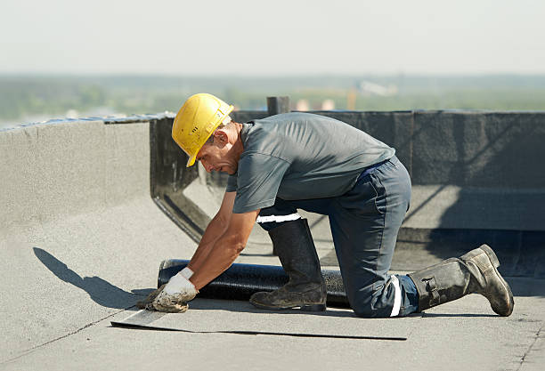 Best Crawl Space Insulation  in Buford, GA