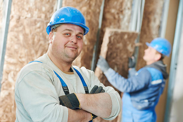 Best Wall Insulation Contractor  in Buford, GA