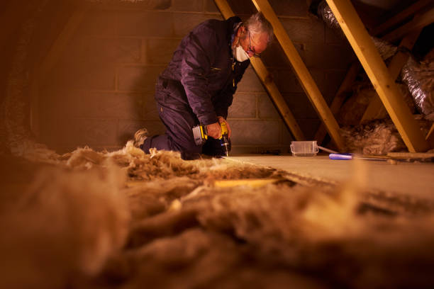 Best Insulation Contractor Near Me  in Buford, GA